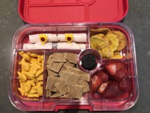 What to pack for the beach with kids: Yumbox