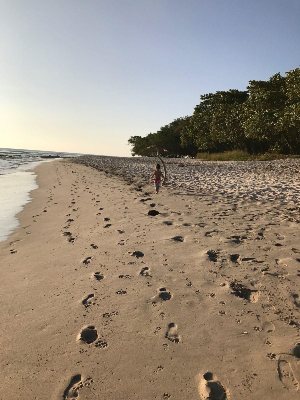 Santa Teresa Costa Rica Beach