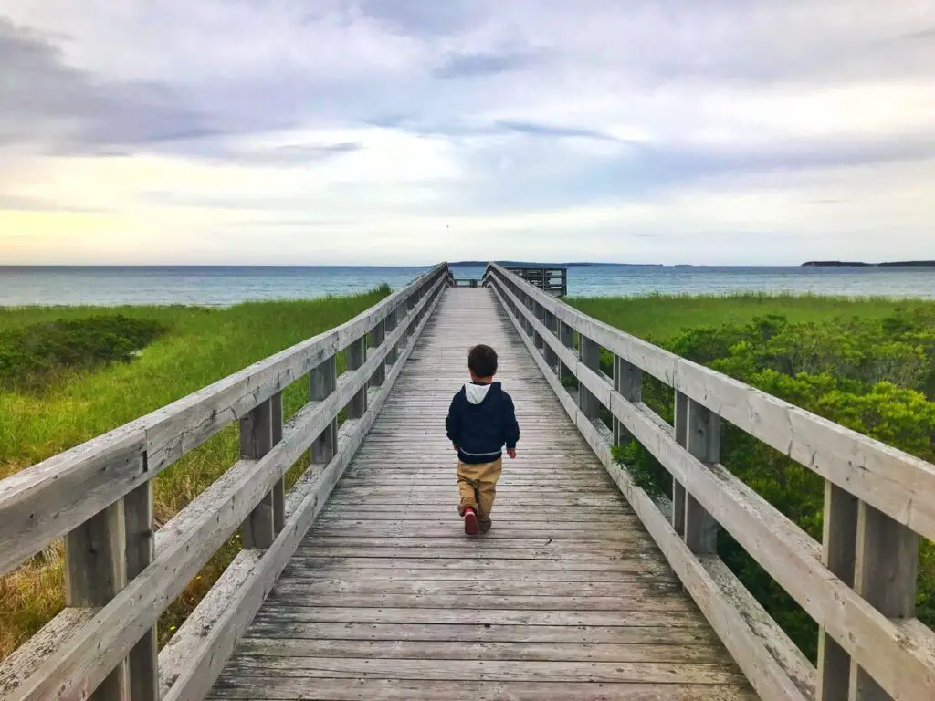 The boardwalk at the beach