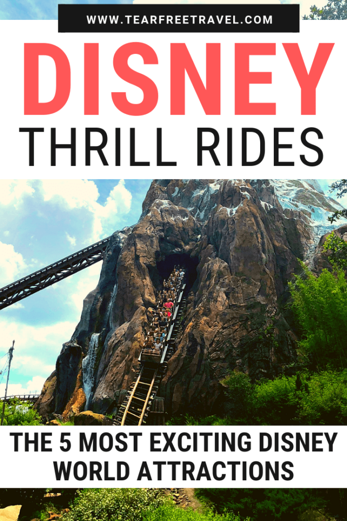 Disney Thrill Rides