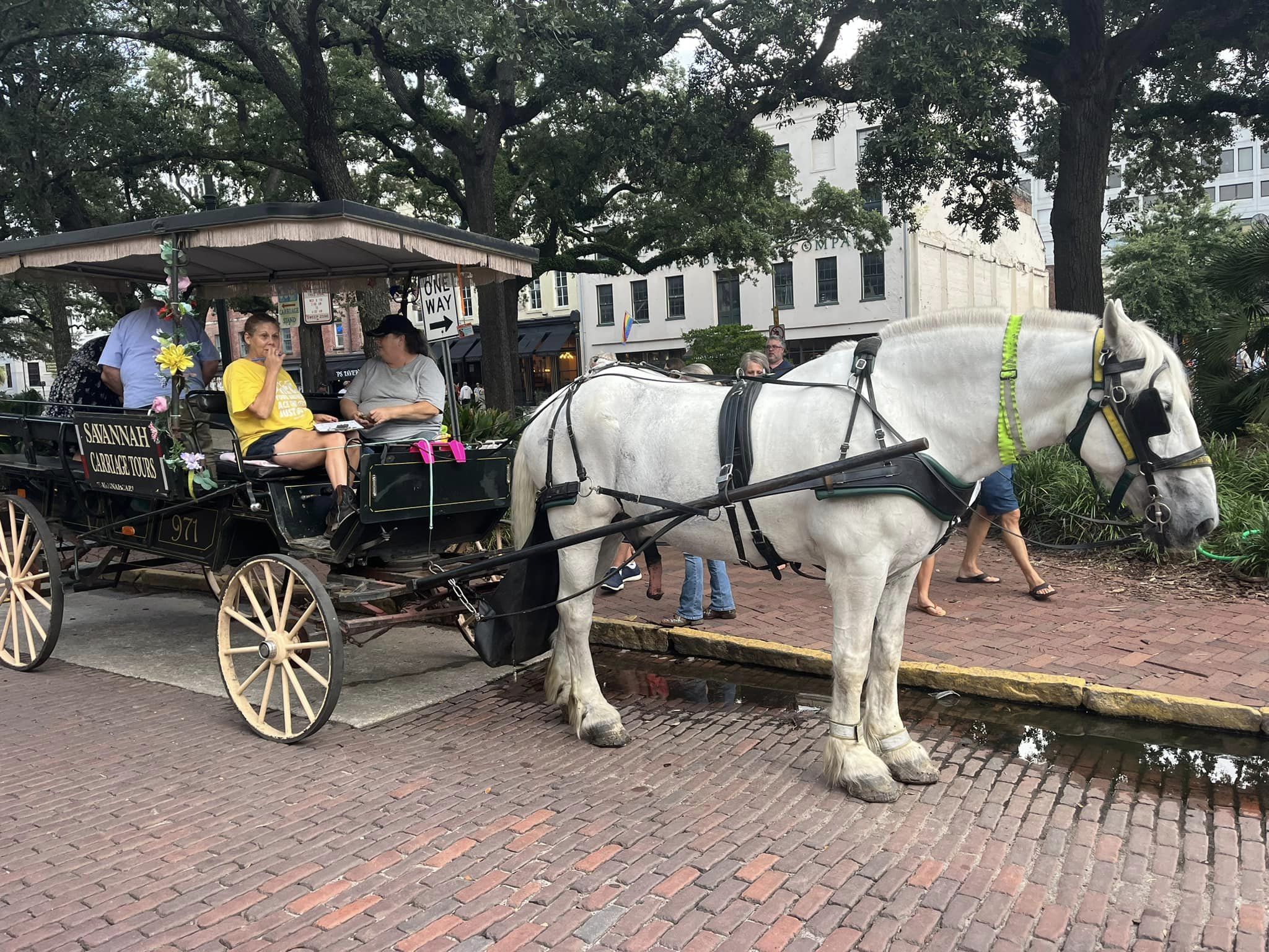 Things To Do In Savannah, Georgia