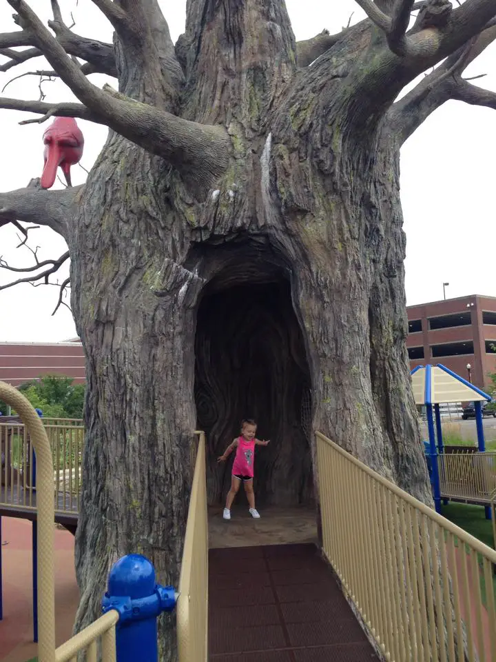 giant tree playground at Lazy Dayz Playground