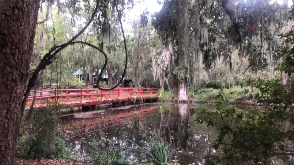 a romantic bridge at Magnolia Plantation